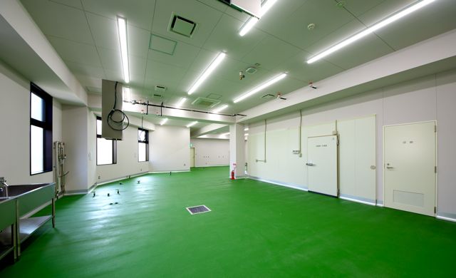 ソントンホールディングス　中央研究所